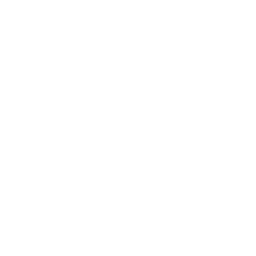 Torneio